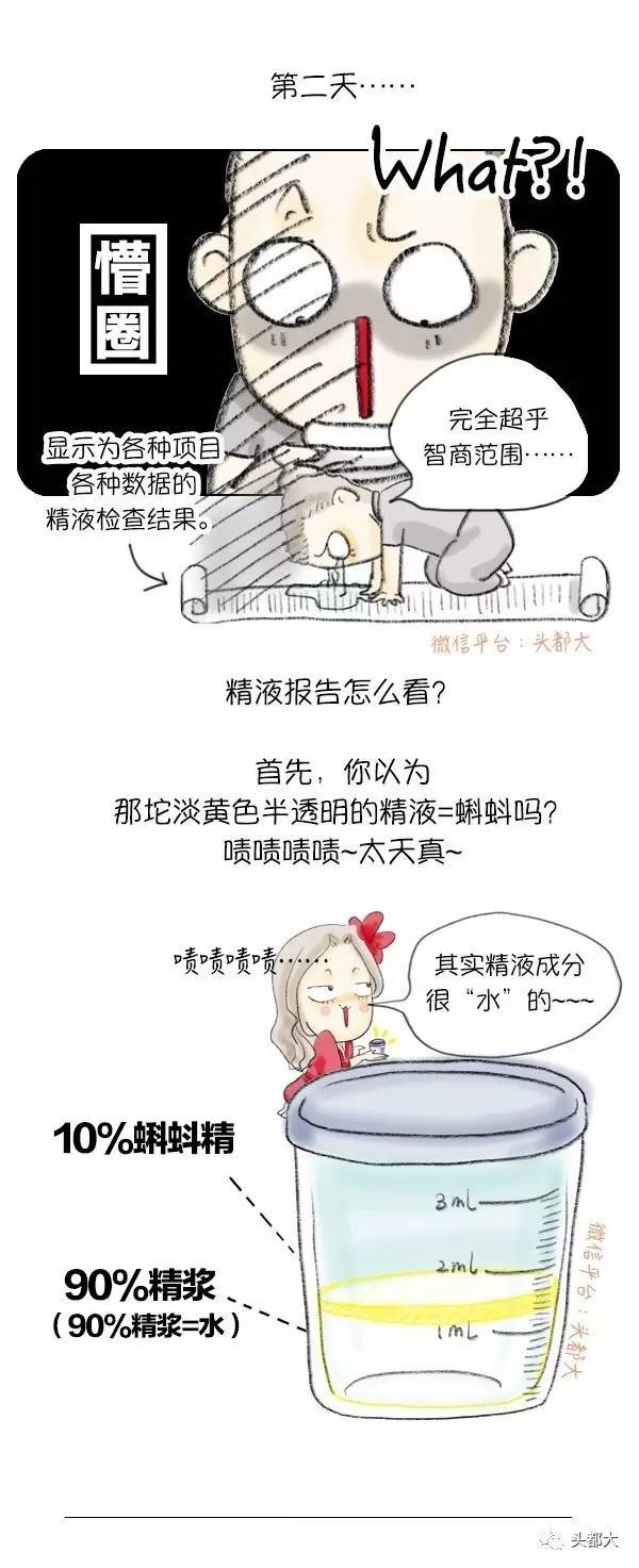借卵试管婴儿双胞胎的成功率高吗？
