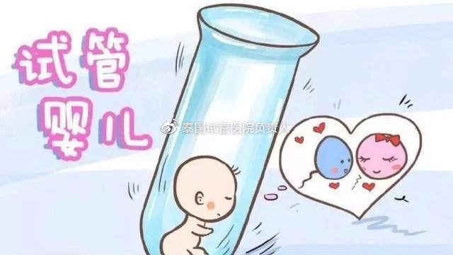 如何选择哈尔滨第三代供卵试管婴儿医院？成功率高就可以吗？