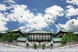 丈夫在供卵试管期间死亡，医院拒绝继续移植，真的不能生孩子吗？