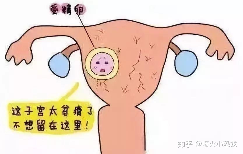 泰国供卵做自怀三代试管男婴关于友谊爱情的祝福
