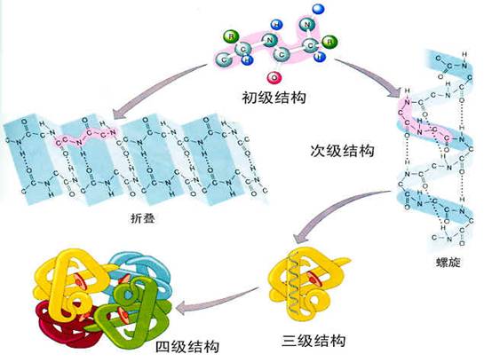 借精试管婴儿助孕用屈螺酮片后过敏发痒