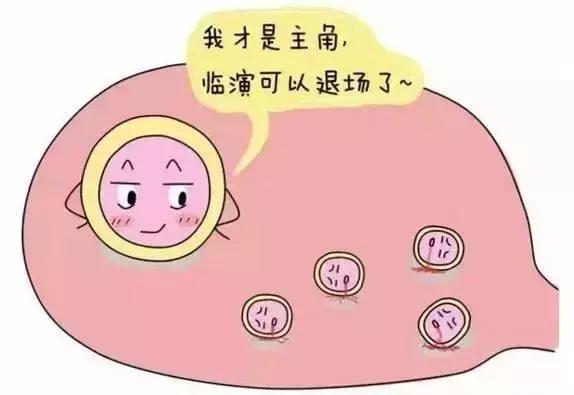 怀不上就去做供卵试管婴儿其实你不需要做供卵试管!