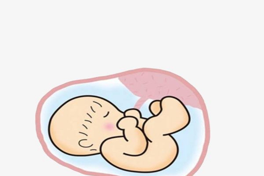 两个女孩怀孕怎么借卵做试管