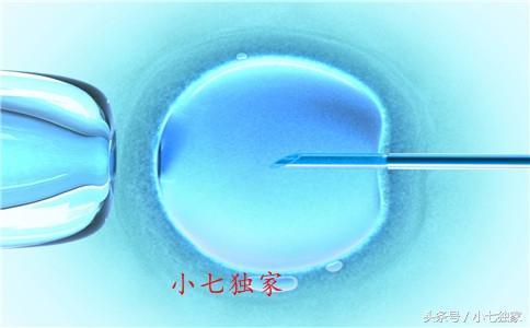 试管成功率有多高+现在试管成功率的成功率有多高