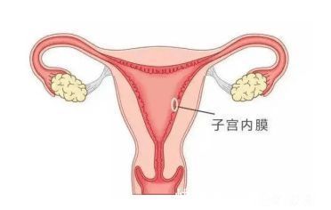 供卵和赠卵有什么区别（供卵是什么意思？）