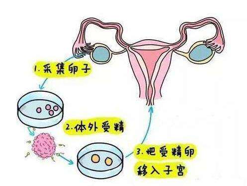 哈尔滨试管代怀技术孕妇能吃什么代生孩子哪家便宜移植后吃什么容易着床呢