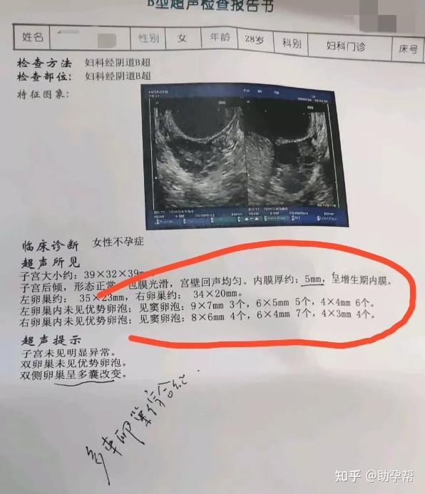 代怀包生男孩费用多少周期中卵泡长到多大才能取卵