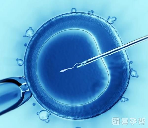 国际试管代怀项目是否违背自然_试管包生男孩公司健康状况如何（是否有别于自然怀孕？）