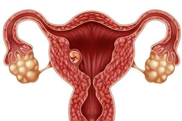 「患血友病在哈尔滨做代怀可以生女孩吗」哈尔滨大学第二附属医院代怀哪家好婴儿吗（附医院试管花费明细!）