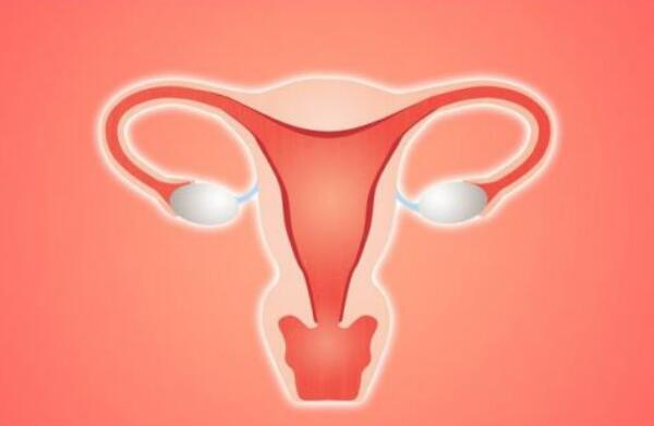 「正规供卵医院与自然受孕的优缺点」去哈尔滨生一个孩子比归化更有优势
