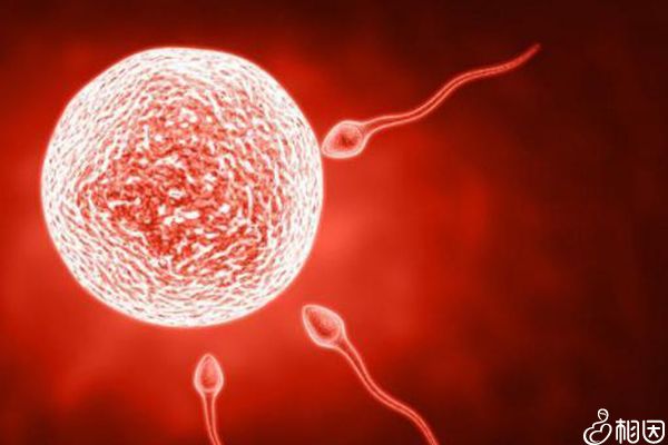 2024哈尔滨云大代生孩子包成功婴儿费用大约多少